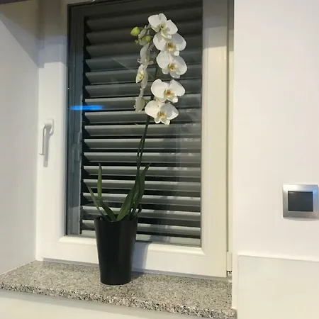 Lux Apartmant Black&white *